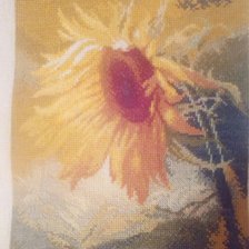 Работа «Подсолнух»