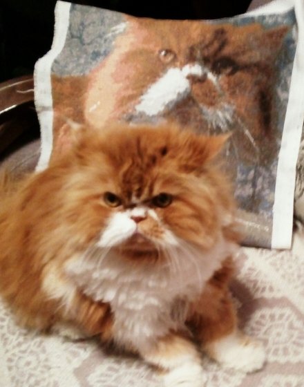 Работа «Оригинал+копия»