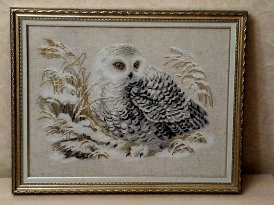 Работа «Полярная сова»