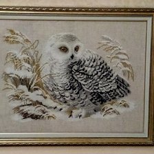 Работа «Полярная сова»
