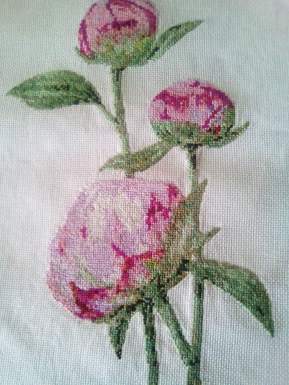 Работа «peonijas»