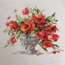 Работа «Красные маки -моя первая работа,канва-Аида14,38цветов»