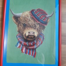 Работа «Стиляга Джо»