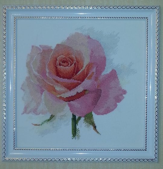 Работа «Алиса 2 - 40 Дыхание розы . Нежность»