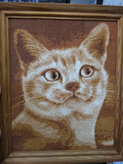 Работа «Зема»