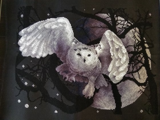 Работа «Сова»