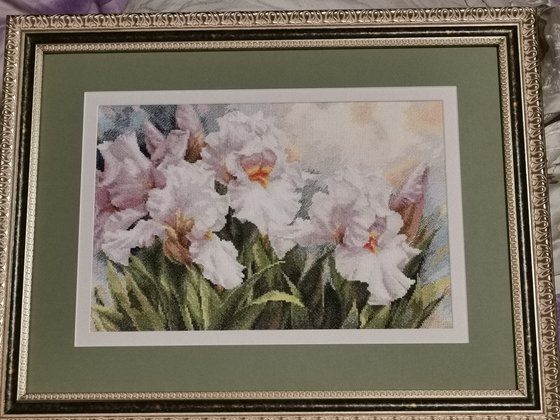 Работа «Белые Ирисы»