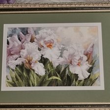 Работа «Белые Ирисы»