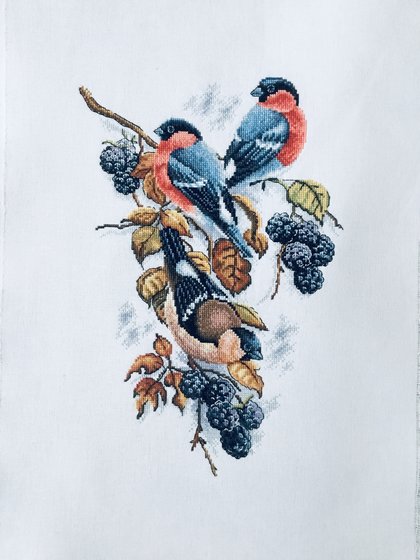 Работа «Снегири на ежевике»