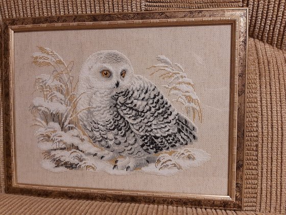 Работа «Совушка»