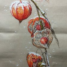 Работа «"Физалис" от Золотые ручки»