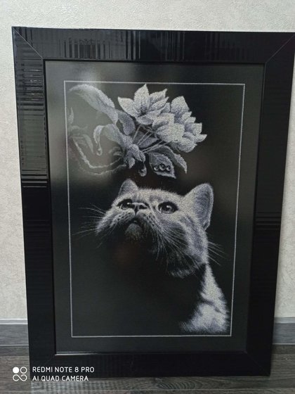 Работа «Кот с магнолией»