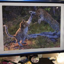 Работа «Малыши»