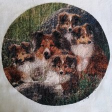 Работа «Семейка»