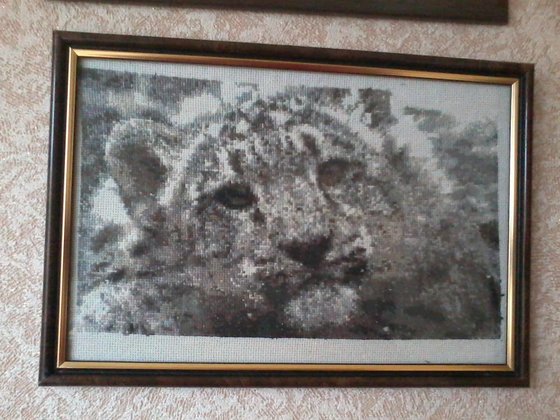 Работа «снежный барс»