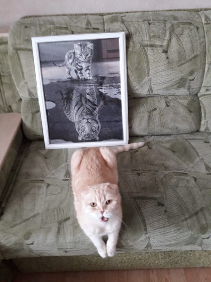 Работа «Работа мамы»