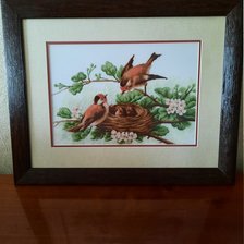 Работа «Птички»