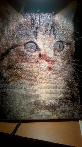 Работа «Мурзик»