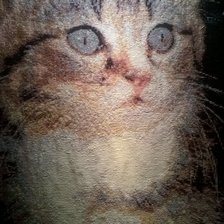 Работа «Мурзик»