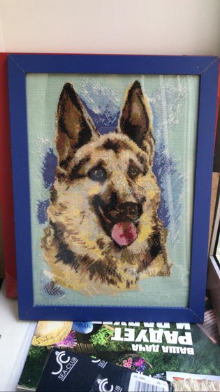 Работа «Мухтар»