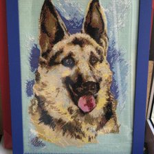 Работа «Мухтар»