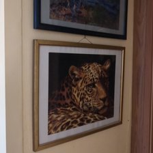 Работа «Стена»