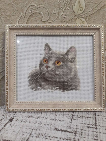 Работа «Британский кот»