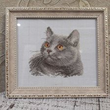 Работа «Британский кот»