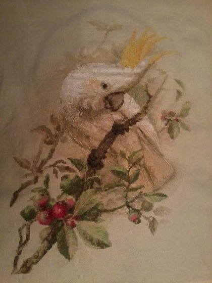 Работа «попугай»