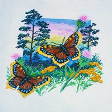 Работа «Бабочки Шоколадница»