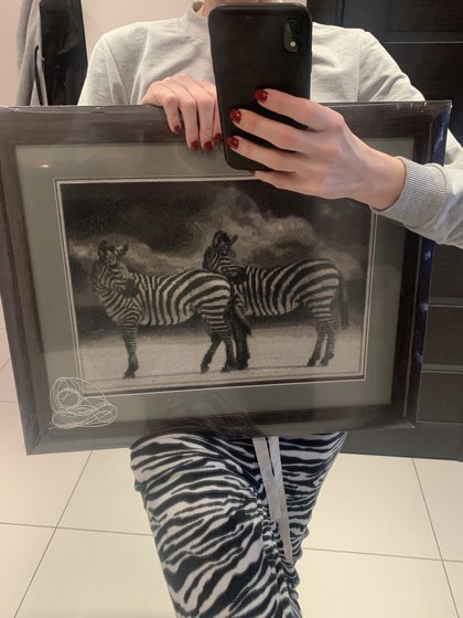 Работа «Зебры»