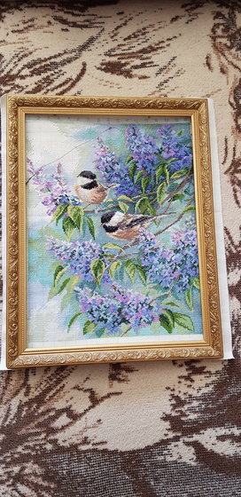 Работа «Синички и сирень. Без оформления. Нитки DMC, канва 14 kt»