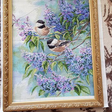 Работа «Синички и сирень. Без оформления. Нитки DMC, канва 14 kt»