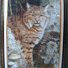 Работа «Карл.Брендерс. Лесной часовой»