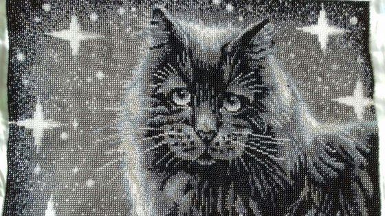 Работа «лунный кот»