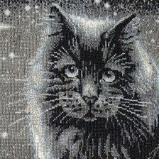 Работа «лунный кот»