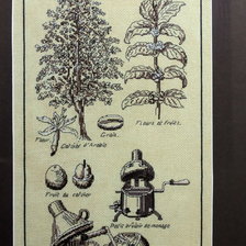 Работа «"Кофе"»