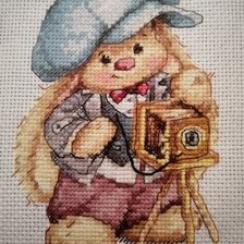 Работа «Зайка Ми. Фотограф»