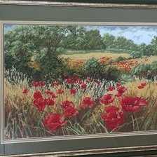 Работа «Маки»