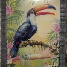 Работа «Тукан, уже оформлен )»