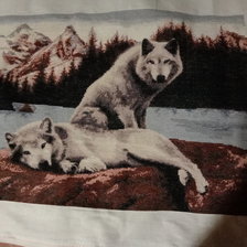 Работа «Волки»