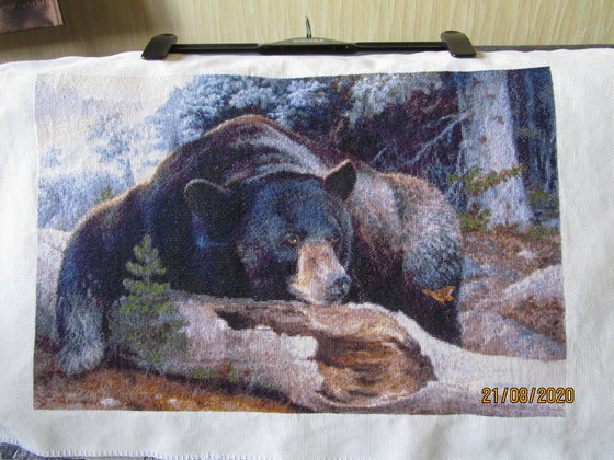 Работа «В стране черных медведей Kustom Kraft»