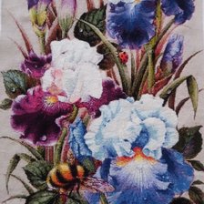 Работа «Ирисы и шмель»