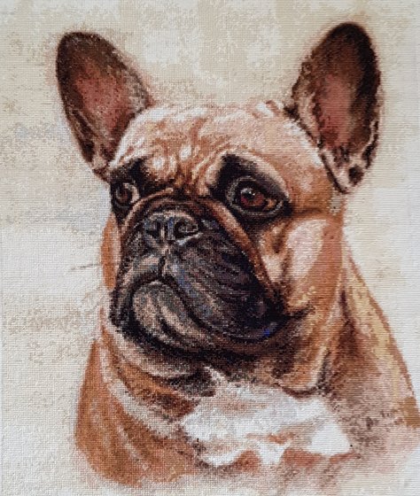 Работа «Французский буьдог»