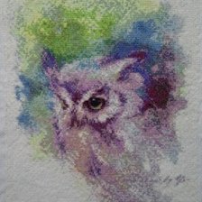 Работа «Сова акварель»