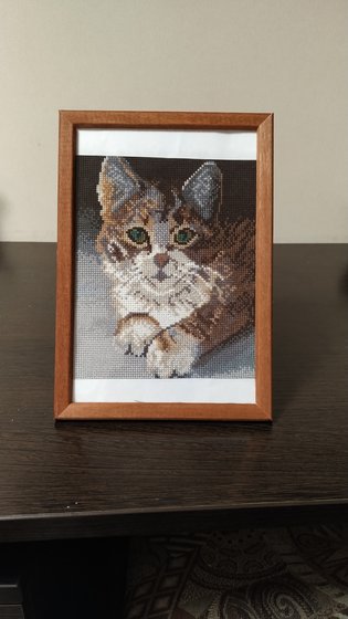 Работа «котик»