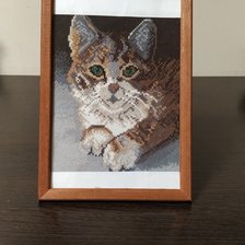 Работа «котик»