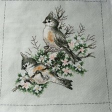 Работа «คู่นก»