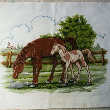 Работа «ม้าคู่»