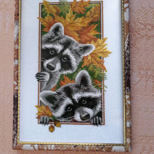 Работа «Любопытные еноты»